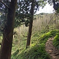 20221030阿里山大凍山步道⛰💪🙆_221031_8.jpg