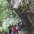 20221030阿里山大凍山步道⛰💪🙆_221031_7.jpg