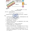 952101太陽能電池的材料回收處理與再利用研究_頁面_018.jpg