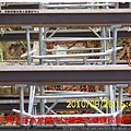 倒塌崩塌危害預防管理實務(1)_頁面_045.jpg