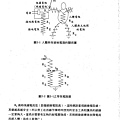 防止感電災害知絕緣設備性能試驗研究_頁面_022.jpg