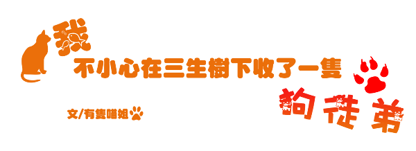 劍三 原創故事 我不小心在三生樹下收了一隻狗徒弟 10 1 喵了個咪 痞客邦 劍三 原創故事 我不小心在三生樹下收了一隻狗徒弟 10 1 喵了個咪 痞客邦