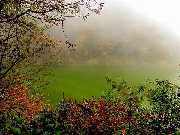 IMG_6806 IMG_6806