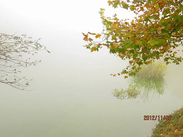 IMG_6818 IMG_6818