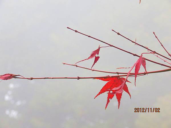 IMG_6835 IMG_6835
