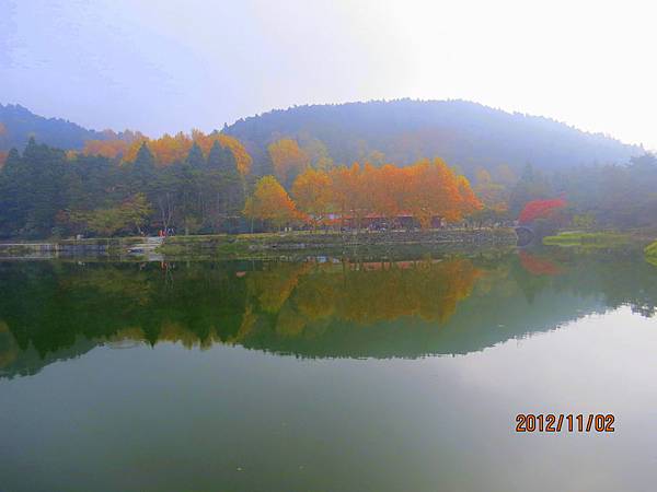 IMG_6825 IMG_6825