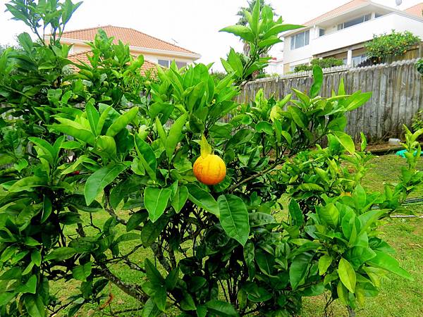IMG_7524 IMG_7524