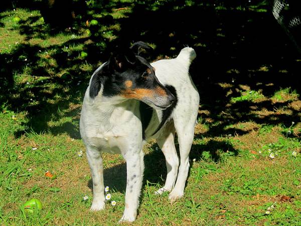 IMG_7968 IMG_7968