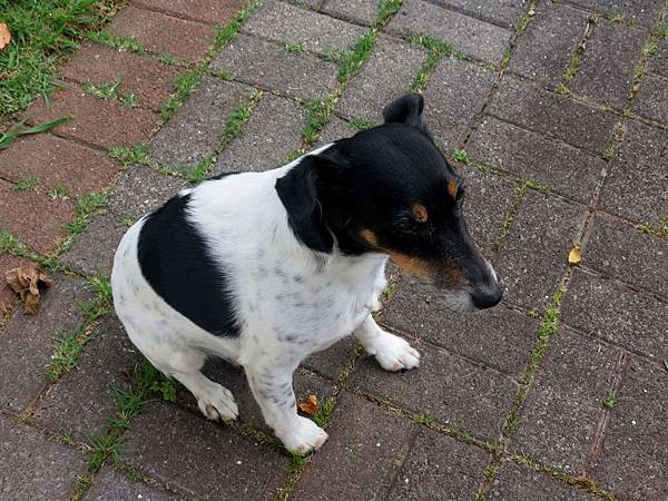 IMG_8105 IMG_8105