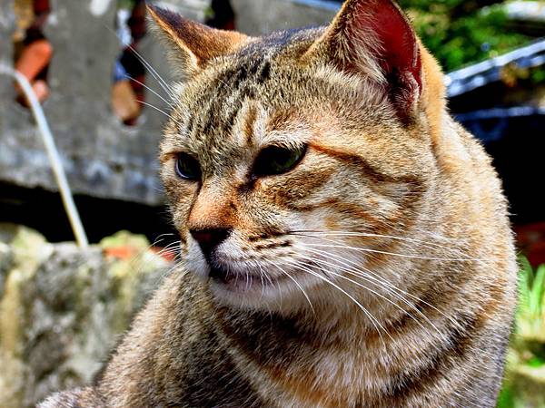 IMG_6229 IMG_6229