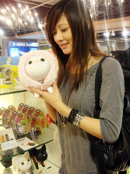 好可愛的小白貓