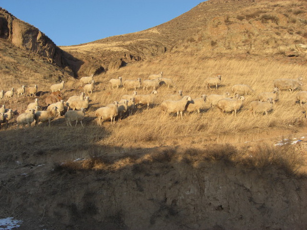 接著又去找長城了