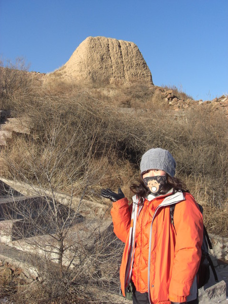 大寶口罩出現了