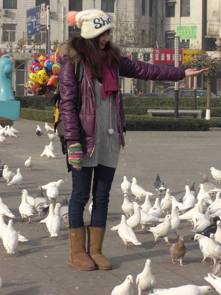 是想讓牠們飛到我手上吃飼料