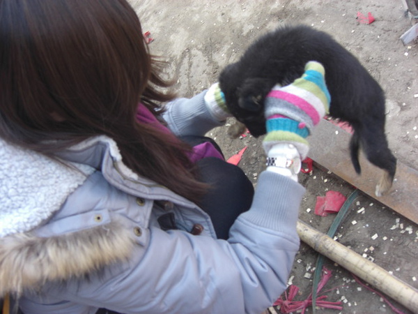 又有可愛的小黑狗