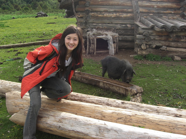 另一個牧場遇到的豬