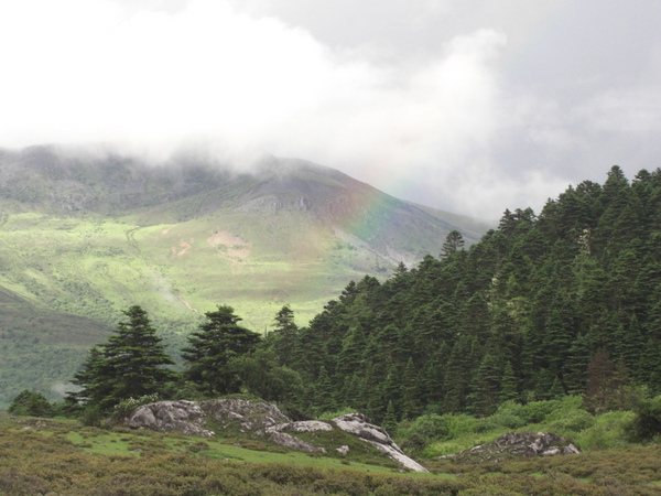 到南寶牧場看到的唯一美景