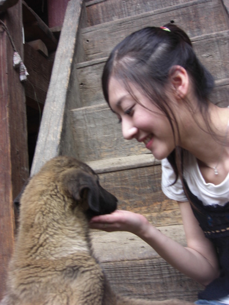 她家可愛的狗 不過沒有名字