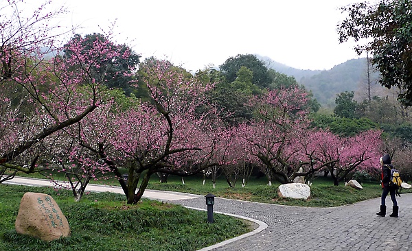 小小的我