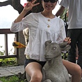 IMG_2726.jpg