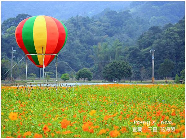 三星花海節14.jpg