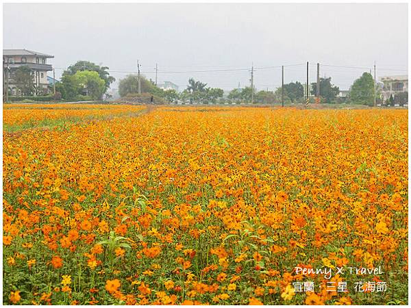 三星花海節28.jpg