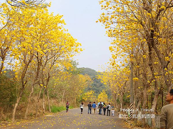 坑內坑步道04.jpg