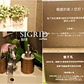 sigrid coffee 洗手間.jpg