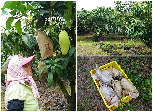 檨仔腳文化共享空間008