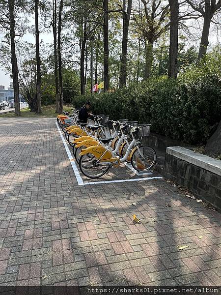 20240309自轉車-UBIKE