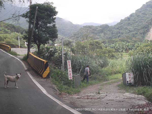 霞雲神木露營區入口