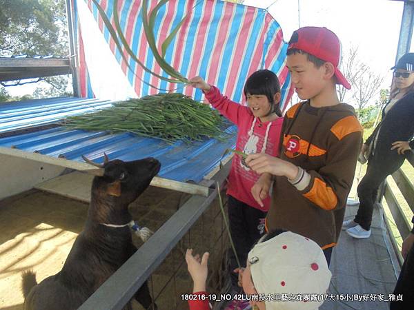 180216_2天空之橋 (46).jpg