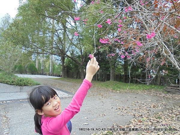 180217_民和 (14).jpg