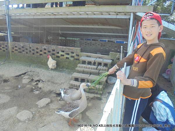 180216_2天空之橋 (50).jpg