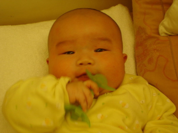 DSC05988_調整大小.JPG