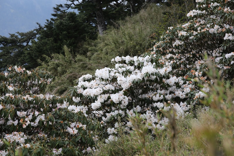 5D3_8153 5D3_8153