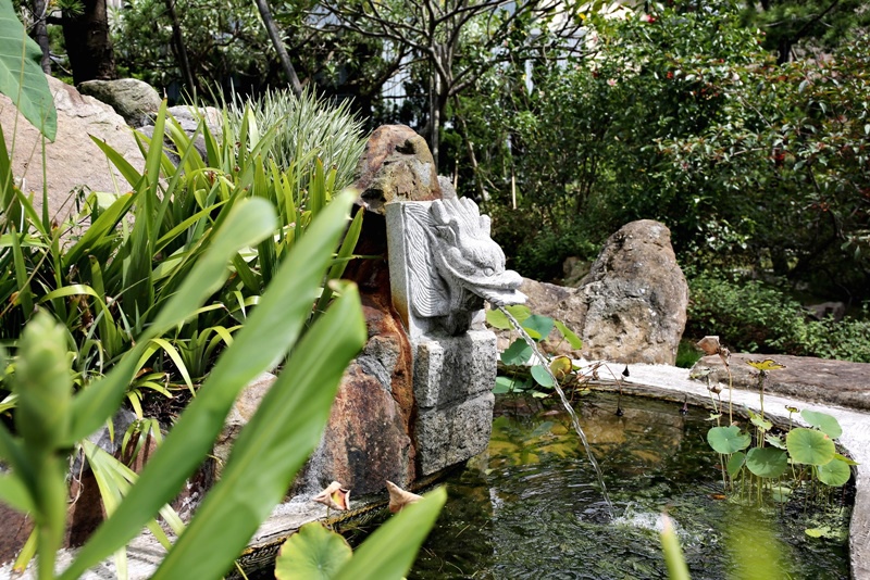 5D3_8529 溫哥華莊園二期