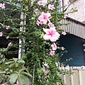 20131019_162721.jpg