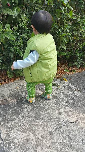 20170309_083331 20170309_083331