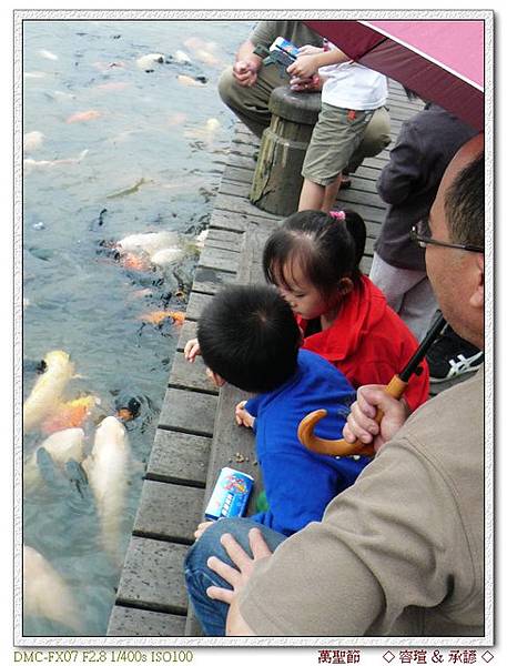 餵魚囉！