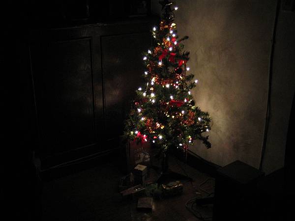 黑暗中的聖誕樹