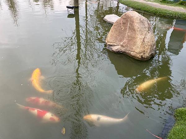 【雲林】香味四溢，心之所在-澄霖沉香味道森林館