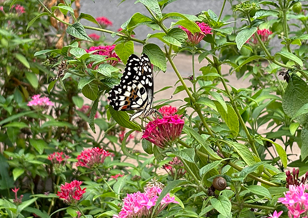 【親子共讀】設有親子共讀區且環境清幽的圖書館-臺中市立圖書館 【親子共讀】設有親子共讀區且環境清幽的圖書館-臺中市立圖書館