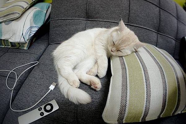 12313702_10207132118715066_3922948834527314961_n.jpg 12313702_10207132118715066_3922948834527314961_n.jpg