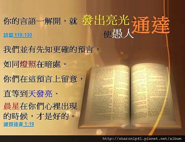 聖經.jpg 聖經.jpg