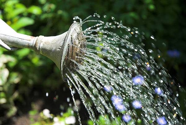 Watering-can.jpg