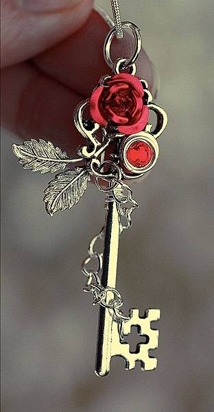 金玫瑰key.JPG 金玫瑰key.JPG