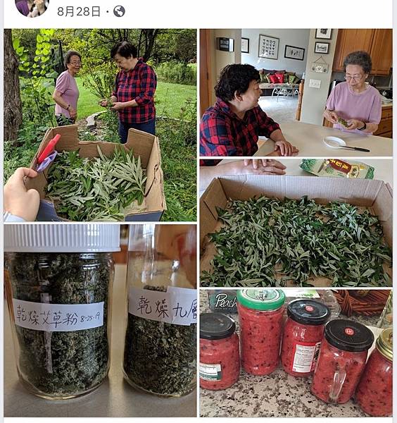 IMG_7656.jpg IMG_7656.jpg