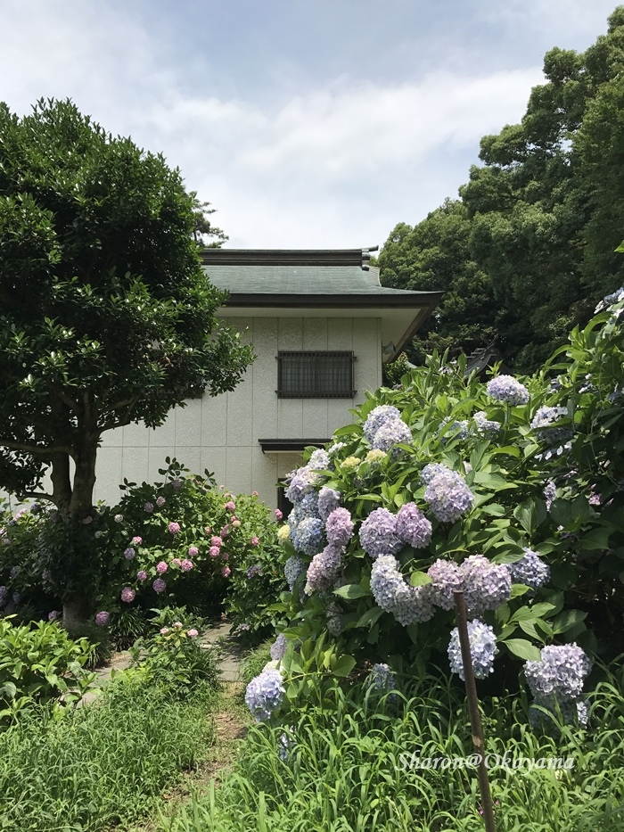 17 岡山京都04 繡球花滿開的吉備津神社 Funtime旅遊比價 17 岡山京都04 繡球花滿開的吉備津神社 Funtime旅遊比價