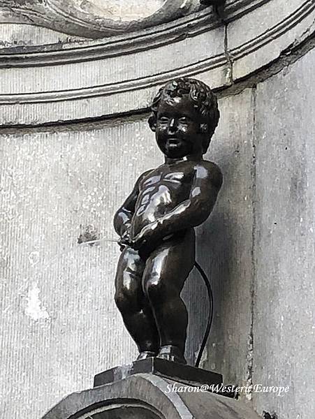 IMG_6306.jpeg IMG_6306.jpeg